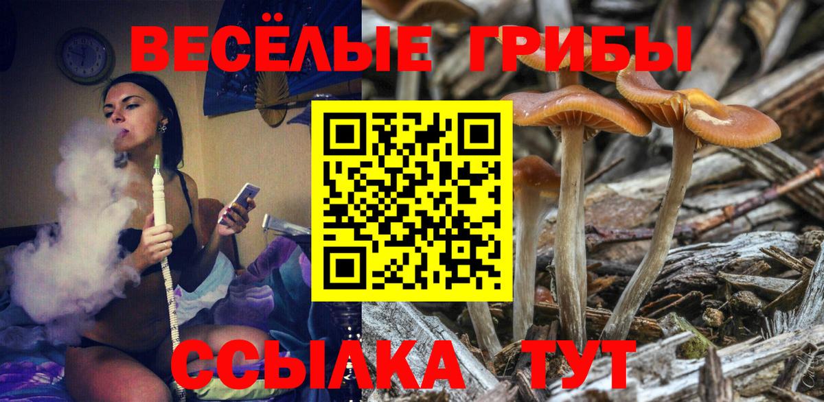 цена наркотик  Вход с VPN  Ижевск  Псилоцибиновые грибы Psilocybine cubensis 