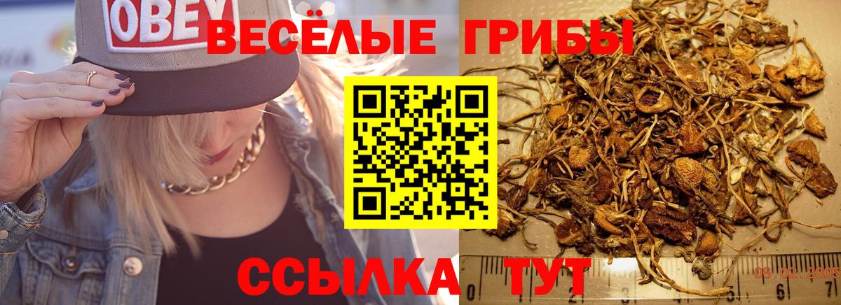 Галлюциногенные грибы MAGIC MUSHROOMS Ижевск